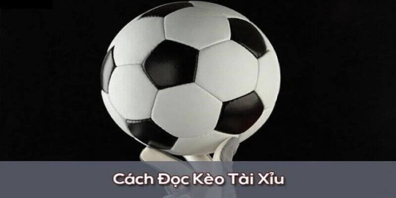 Một số vấn đề mà bạn cần lưu ý khi tham gia đặt cược