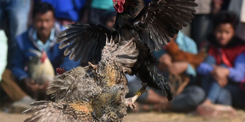 Mức cược và tỷ lệ hoàn luôn là điều được nhiều anh em quan tâm