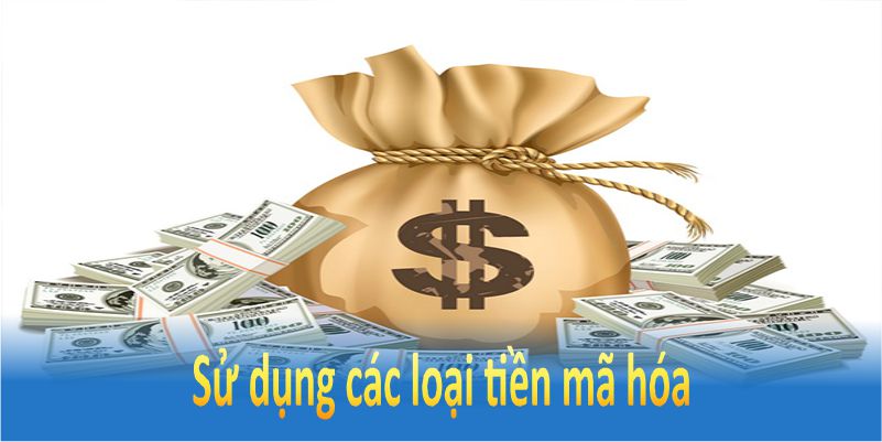 Sử dụng các loại tiền mã hóa như USDT để thực hiện giao dịch